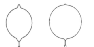 11.png